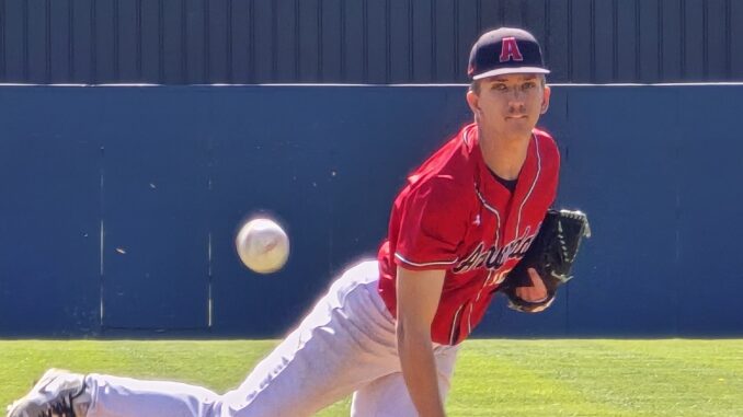 Cardinals Baseball snaps losing streak | Annandale Advocate